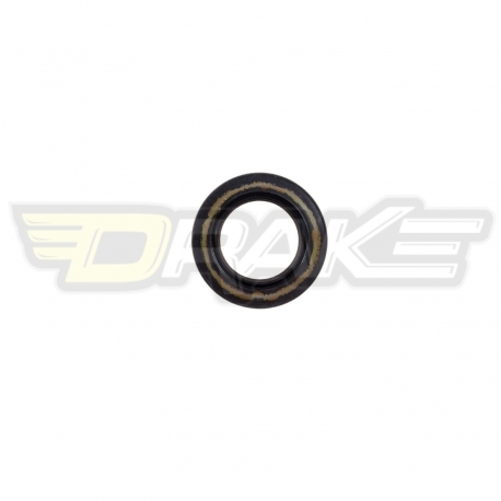 IAME X30 oil seal magn. / drive side
