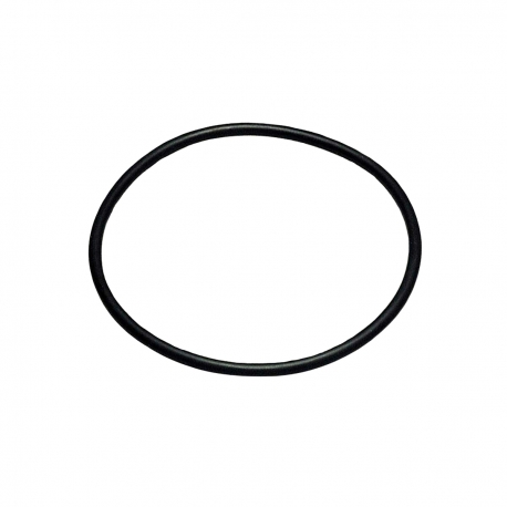 Transmission O-Ring for Righetti Water Pump