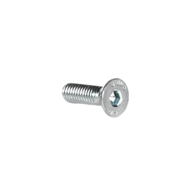 Tornillo TSEI M4x8 para excéntrico EASY caster camber MINI-OK-KZ-DD2