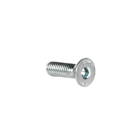 Tornillo TSEI M4x8 para excéntrico EASY caster camber MINI-OK-KZ-DD2