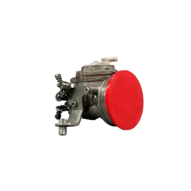 Protective cap for carburetors HW49-X30