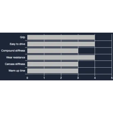 Set pneumatici MINI VEGA