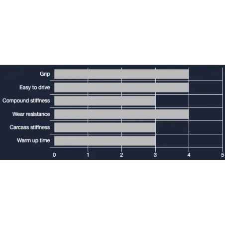 Set pneumatici MINI VEGA