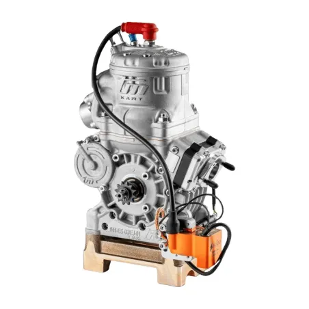 Engine 125cc OKN TM KART