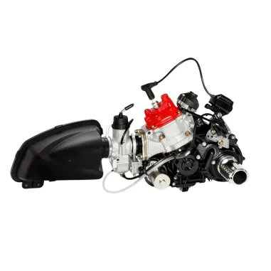 Motor DD2 evo ROTAX