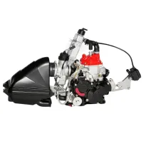 Engine MICRO evo20 ROTAX