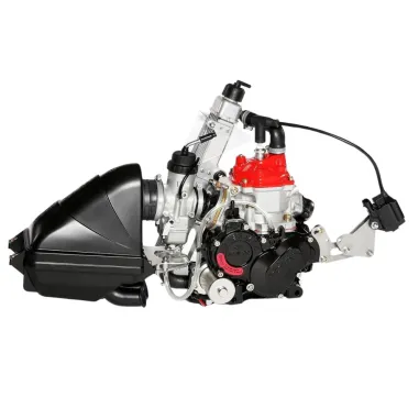 Motore MICRO evo20 ROTAX