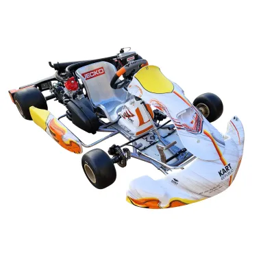 Chasis KR2 DD2 KART REPUBLIC