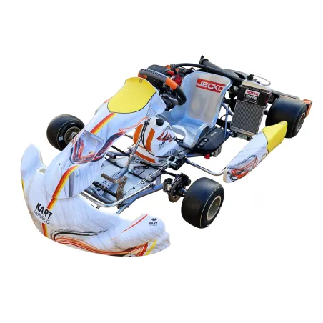 Kart completo KR2 DD2 KART REPUBLIC (listo pista)