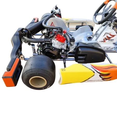 Kart completo KR2 DD2 KART REPUBLIC (pronto pista)