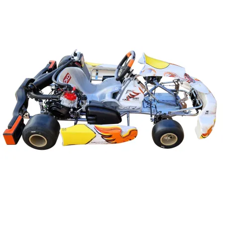 Kart completo KR2 DD2 KART REPUBLIC (pronto pista)