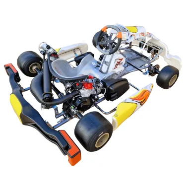 Kart completo KR2 DD2 KART REPUBLIC (pronto pista)