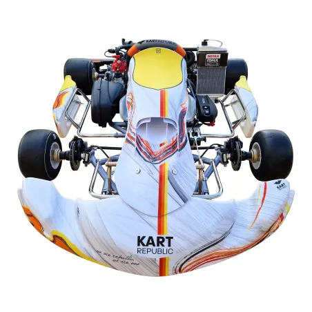 Kart completo KR2 DD2 KART REPUBLIC (listo pista)