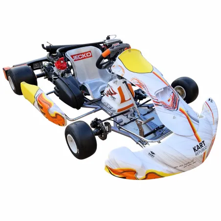Complete kart KR2 DD2 KART REPUBLIC (ready track)