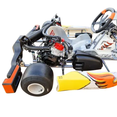Kart completo KR2 DD2 KART REPUBLIC (pronto pista)