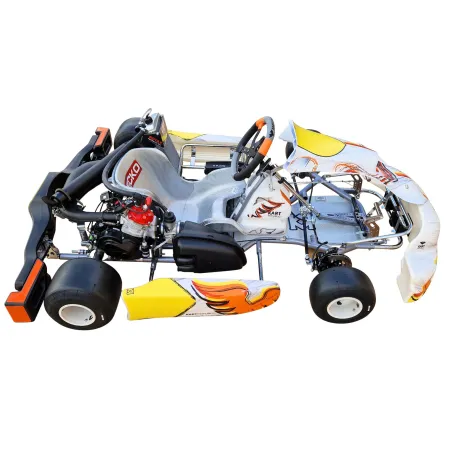 Kart completo KR2 DD2 KART REPUBLIC (pronto pista)