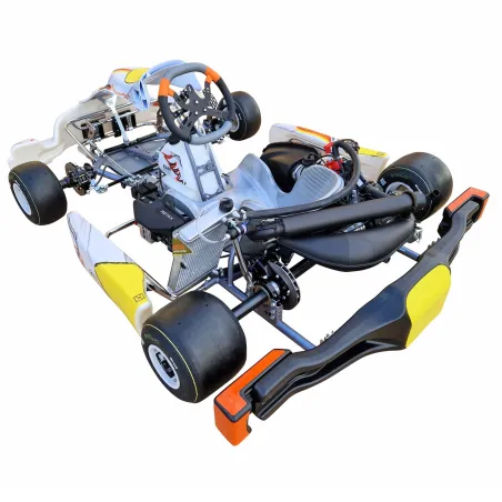 Kart completo KR2 DD2 KART REPUBLIC (listo pista)