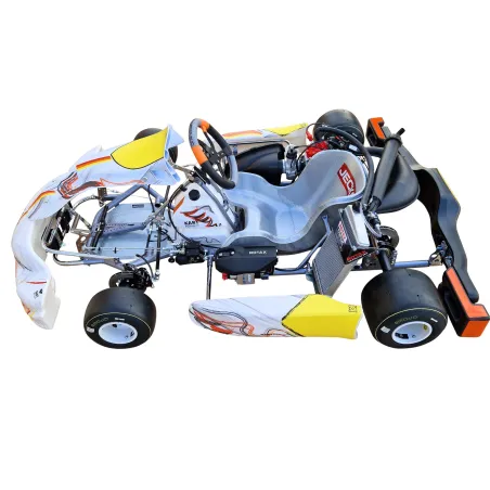 Kart completo KR2 DD2 KART REPUBLIC (pronto pista)