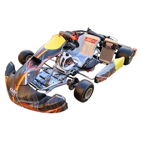 Kart completo KR2 DD2 KART REPUBLIC (pronto pista)