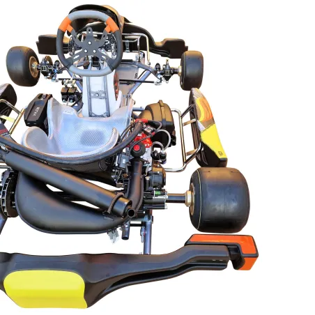 Complete kart KR2 DD2 KART REPUBLIC (ready track)