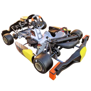 Kart completo KR2 DD2 KART REPUBLIC (listo pista)