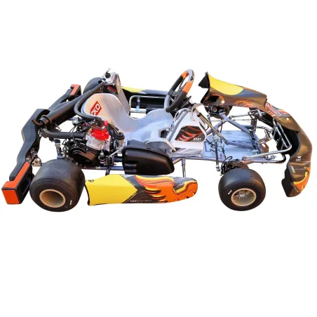Kart completo KR2 DD2 KART REPUBLIC (pronto pista)