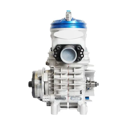 Motore 125cc REEDSTER V – OK N IAME