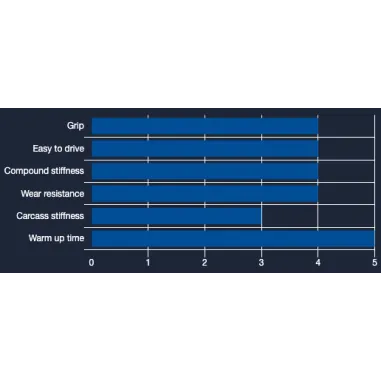 Juego de neumáticos WM1 – CIK MINI RAIN VEGA