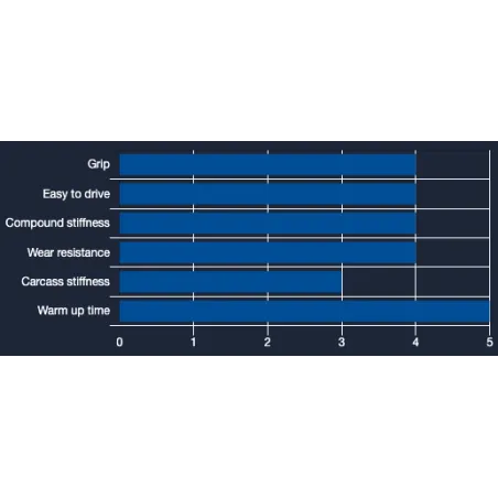 Juego de neumáticos WM1 – CIK MINI RAIN VEGA