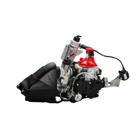 Motor MINI evo20 ROTAX