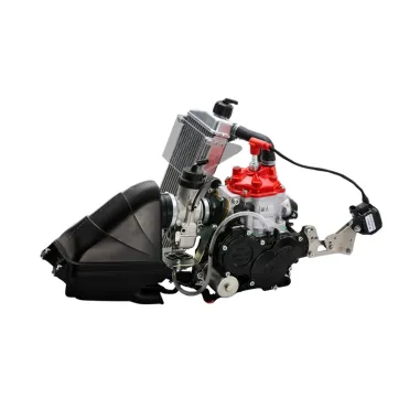 Motor JUNIOR evo ROTAX