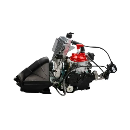 Engine SENIOR MAX evo ROTAX