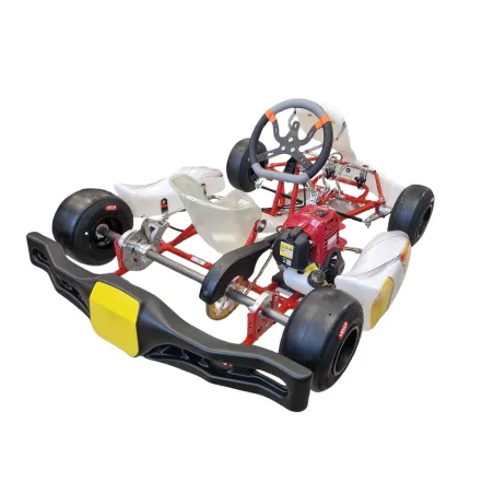 Kart completo BABY KART REPUBLIC (3-8 años)