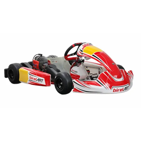 Kart completo MINI EASY KART (pronto pista)