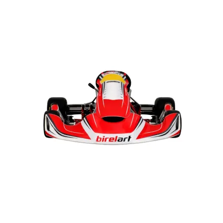 Frame RY32 S18 - SHIFTER BIREL ART