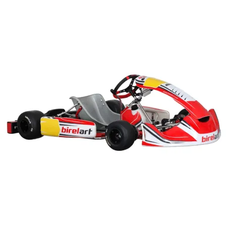 Frame RY32 S18 - SHIFTER BIREL ART