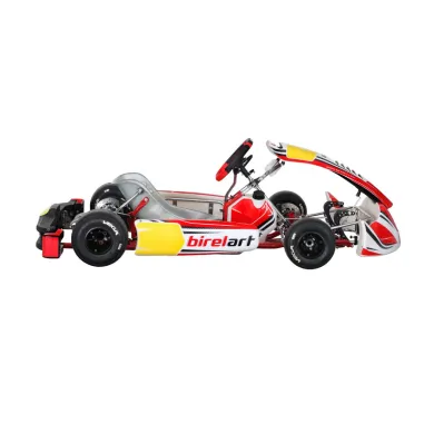 Chasis RY32 S18 - SHIFTER BIREL ART