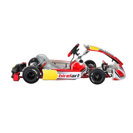 Chasis RY32 S18 - SHIFTER BIREL ART