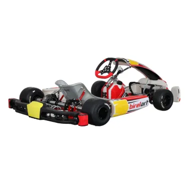 Chasis RY32 S18 - SHIFTER BIREL ART