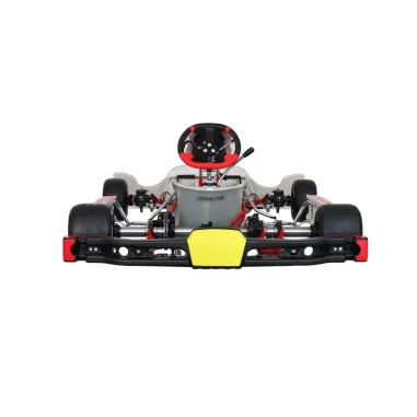 Chasis RY32 S18 - SHIFTER BIREL ART