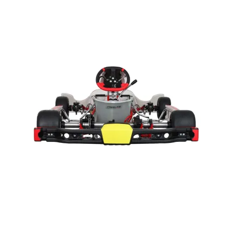 Frame RY32 S18 - SHIFTER BIREL ART