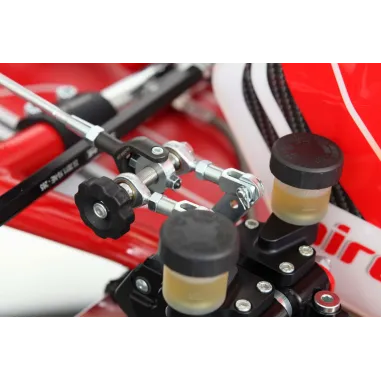 Telaio RY32 S18 - SHIFTER BIREL ART