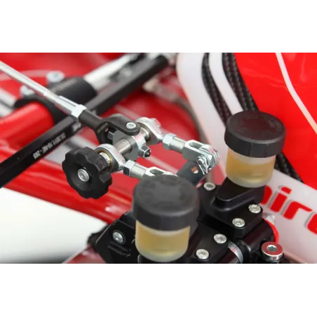 Telaio RY32 S18 - SHIFTER BIREL ART