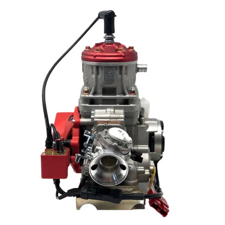 Motor 125cc HAT TAG EASY KART