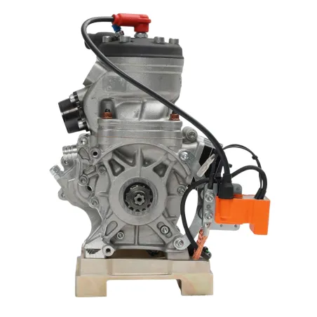 Motor 125cc OKN MODENA ENGINES