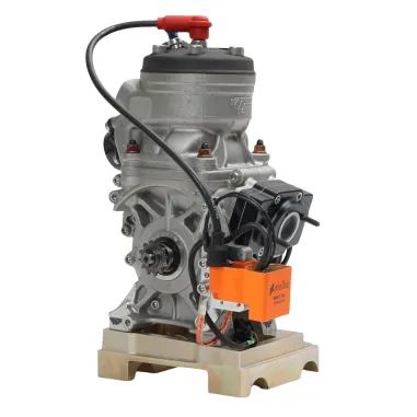 Motor 125cc OKN MODENA ENGINES