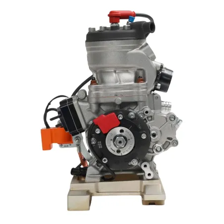 Motor 125cc OKN MODENA ENGINES