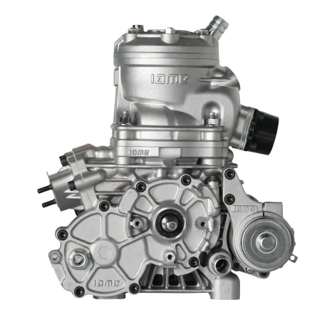 Motore 125cc S125 IAME