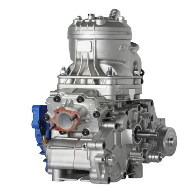 Engine 125cc S125 IAME