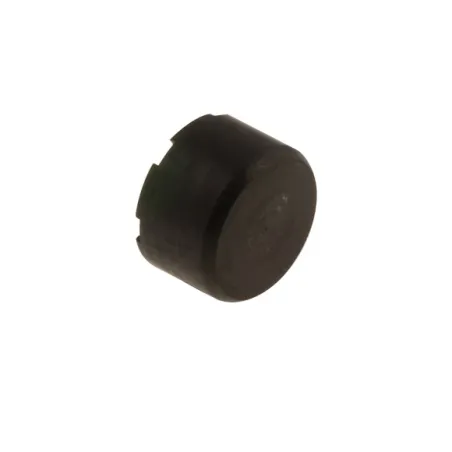 Pistoncino pinza freno posteriore SA2-BSD-BS6 OK-KZ-DD2 OTK